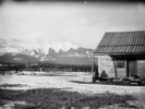 Original title:  In the Jasper House Valley looking west. 