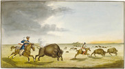 Titre original&nbsp;:  Metis hunting buffalo in the Summer 1822 by Peter Rindisbacher, (1806-1834).

Français : Chasse au bison par les Metis durant l'été 1822 par Peter Rindisbacher (1806-1834).