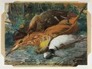 Titre original&nbsp;:  Daniel Fowler - Dead Canadian Game - 1879. Held by the National Gallery of Canada. 
Credit line: Royal Canadian Academy of Arts diploma work, deposited by the artist, Amherst Island, Ontario, 1880.