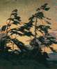 Titre original&nbsp;:    Description English: Pine Island, Georgian Bay. Oil on canvas. 153.2 x 127.7 cm. National Gallery of Canada, bequest of J.M. MacCallum Date 1914–16 Source http://www.google.com/images?hl=en&gbv=2&tbs=isch%3A1%2Cisz%3Am&sa=3&q=thomson+%22pine+island%22&btnG=Search+images Author Tom Thomson

