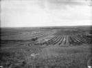 Titre original&nbsp;:  General view of Experimental Farm [Brandon, Manitoba]. 