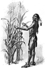 Original title:    Description English: How Well The Corn Prospered. Squanto or Tisquantum demonstrating corn he had fertilized by planting with fish. Date 1911(1911) Source Bricker, Garland Armor. The Teaching of Agriculture in the High School. New York: Macmillan, 1911. Page 112. Author The German Kali Works, New York Permission (Reusing this file) Public domain in USA.

