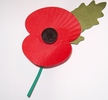Original title:    Description An artificial corn poppy, made of plastic and cardboard by disabled ex-servicemen, worn in the United Kingdom and other Commonwealth countries from late October to Remembrance Sunday in support of the Royal British Legion's Poppy Appeal and to remember those servicemen and women who died in war. Wearing poppies to remember the war dead comes from the poem In Flanders' Fields by Lieutenant-Colonel John McCrae which concludes with the line "We shall not sleep, though poppies grow, In Flanders fields". Although originally worn to commemorate those who fell in the First World War, poppies are also worn for the fallen of every conflict since. Date 2007-11-17 Source Own work Author Philip Stevens

The full version of 'In Flanders Fields' the poem goes:



In Flanders fields the poppies blow

Between the crosses, row on row,

That mark our place; and in the sky

The larks, 