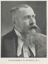 McNEILY, ALEXANDER JAMES WHITEFORD – Volume XIV (1911-1920)