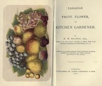 Original title:  Canadian fruit, flower, and kitchen gardener : a guide in all matters relating to the cultivation of fruits, flowers and vegetables, and their value for cultivation in this climate by Delos White Beadle. Toronto: J. Campbell, 1872.
Source: https://archive.org/details/canadianfruitflo00beaduoft  