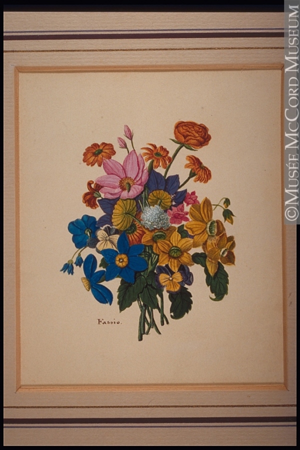 Titre original :  Painting Flower Study Guiseppe Fassio 1834-1851, 19th century 7.7 x 6.3 cm M24629.8 © McCord Museum Keywords:  Painting (2229) , painting (2226)