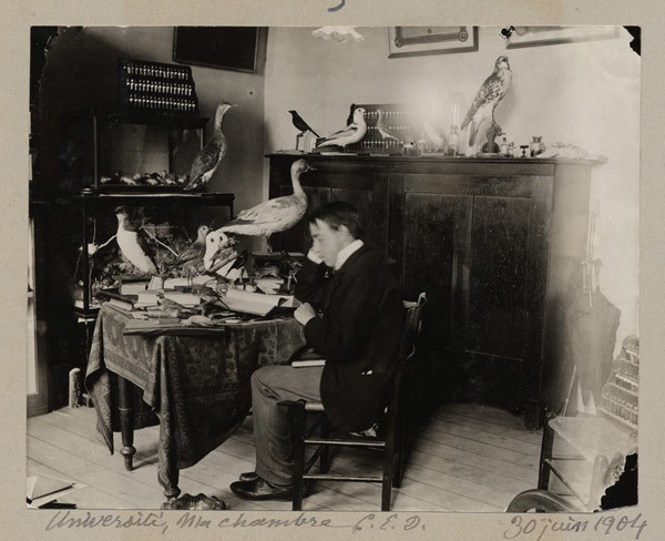 Titre original :  Charles-Eusèbe Dionne dans sa chambre au Séminaire de Québec. Assis à son pupitre, il consulte un volume. De très nombreux oiseaux naturalisés décorent sa chambre.