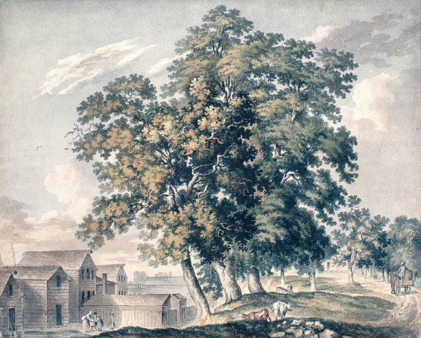 Titre original :  Toronto in Upper Canada. View in Toronto, 1837/Two blocks from the Market/looking west/Painted by James Hamilton. 
This image is available from Library and Archives Canada under the reproduction reference number C-040302.