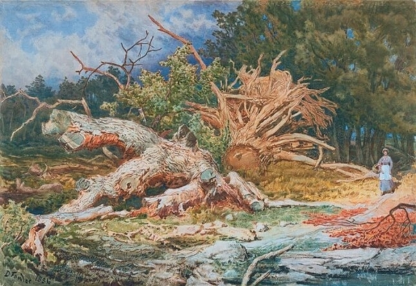 Titre original :  Daniel Fowler - Fallen Birch (1886), watercolour on wove paper
