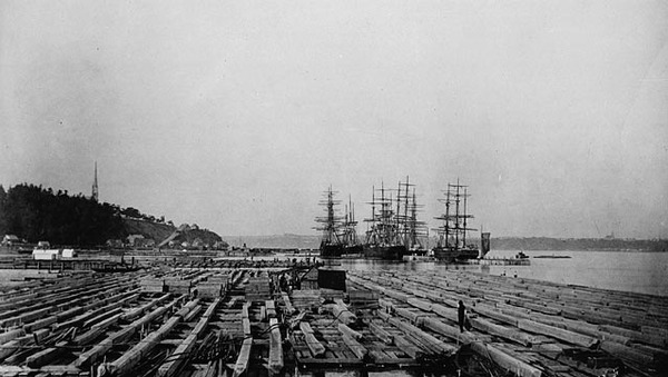 Titre original :  Booth's raft of pine timber, Sharples and Dobell's Coves. 